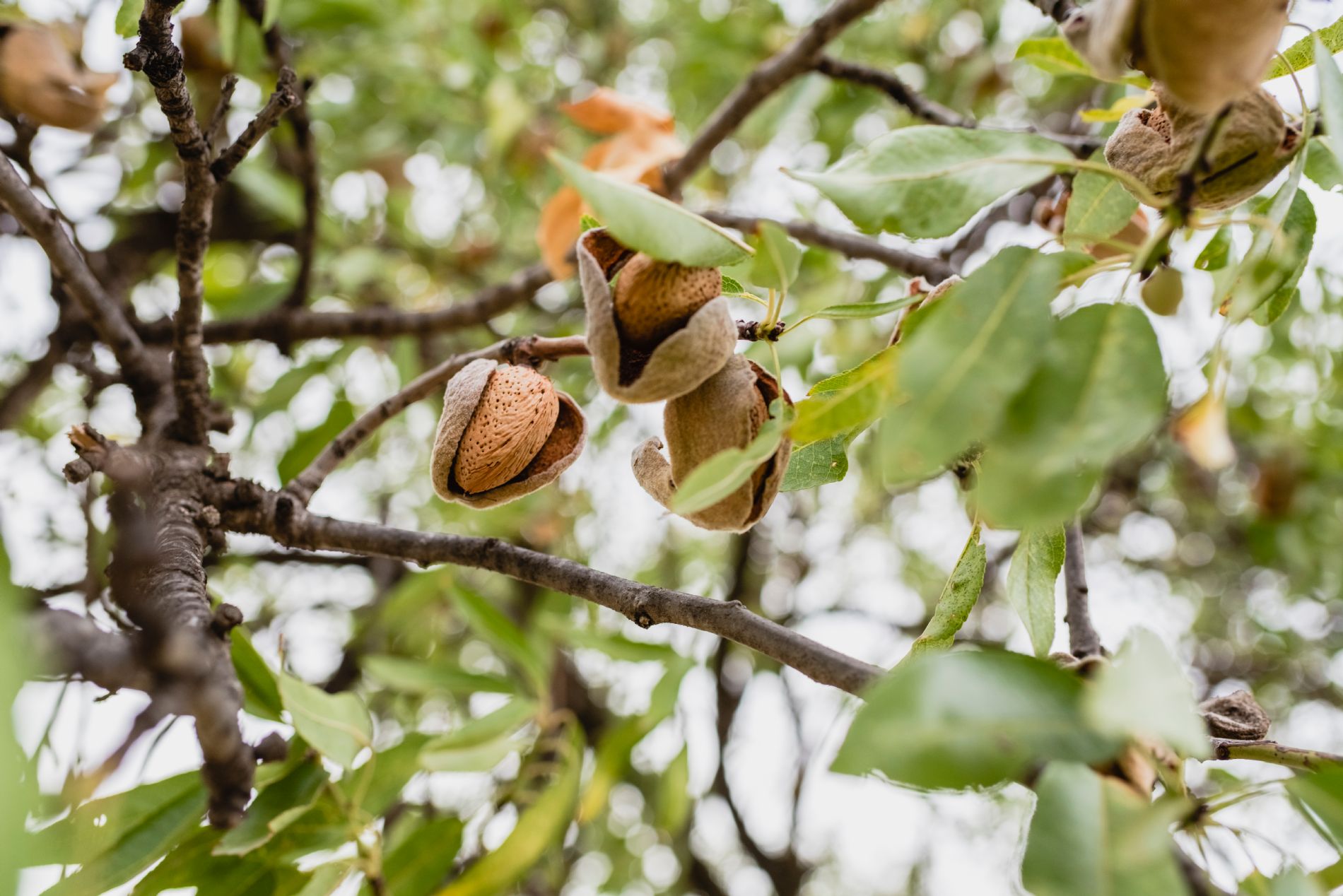 imagen principal noticia