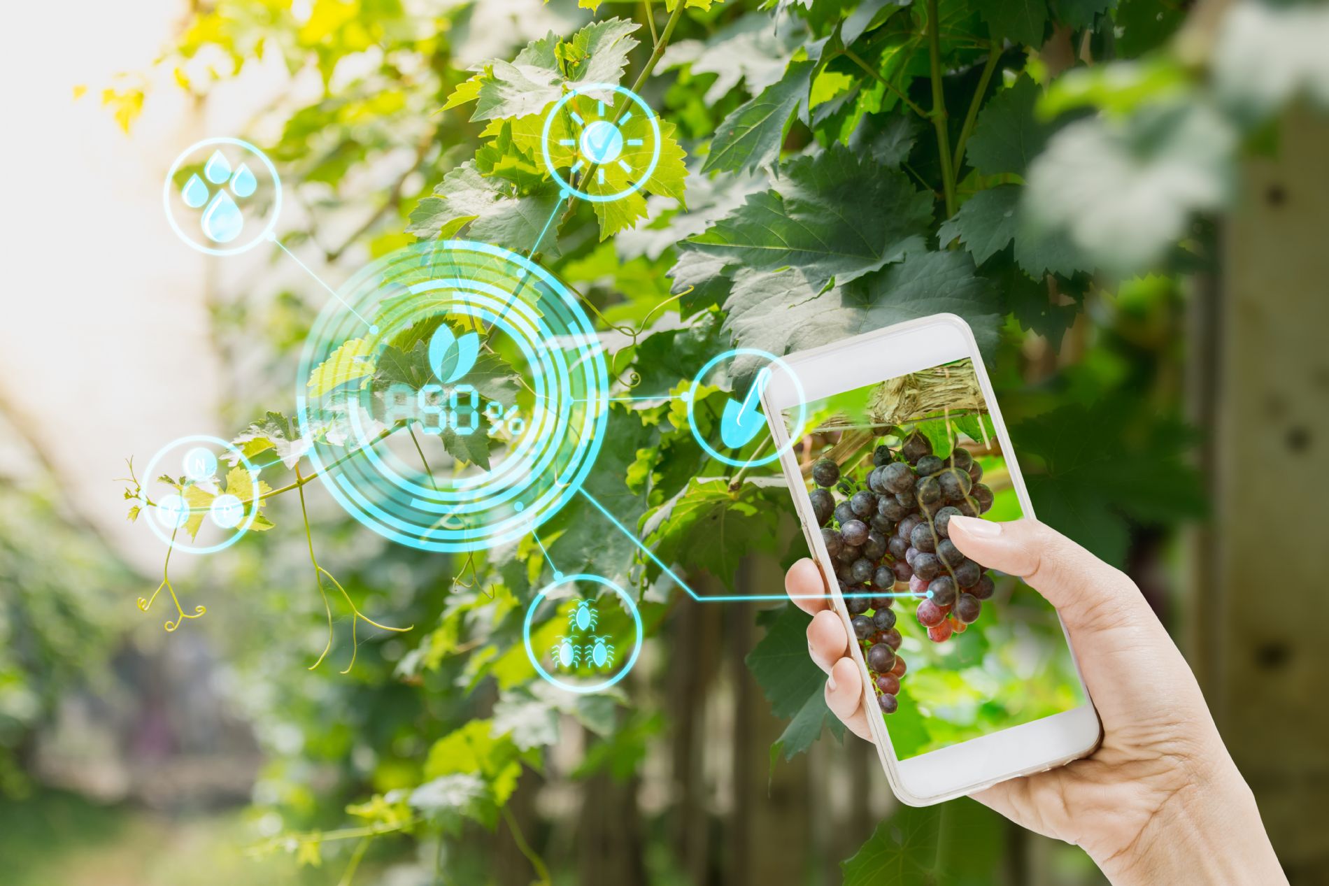 imagen principal noticia