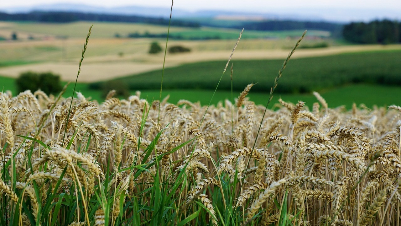 imagen principal noticia