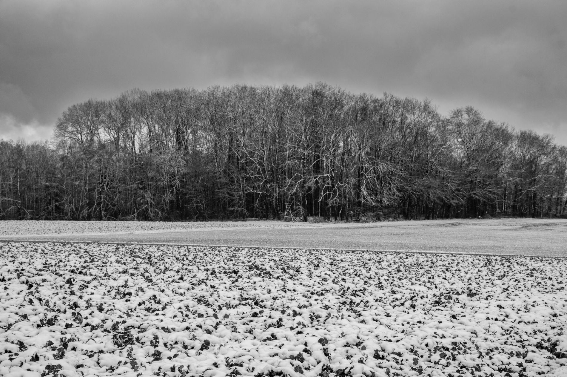 imagen principal noticia