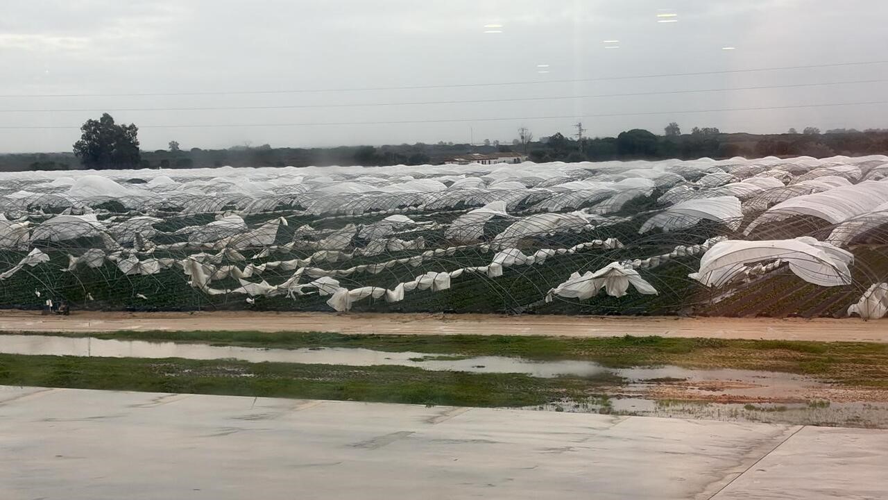 primeras-estimaciones-danos-temporal-no-cesa