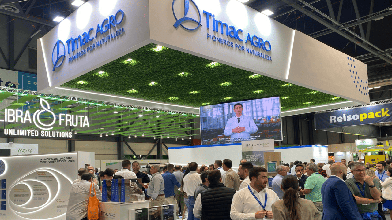 imagen principal noticia