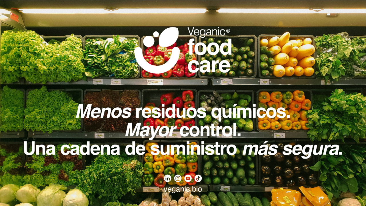 imagen principal noticia