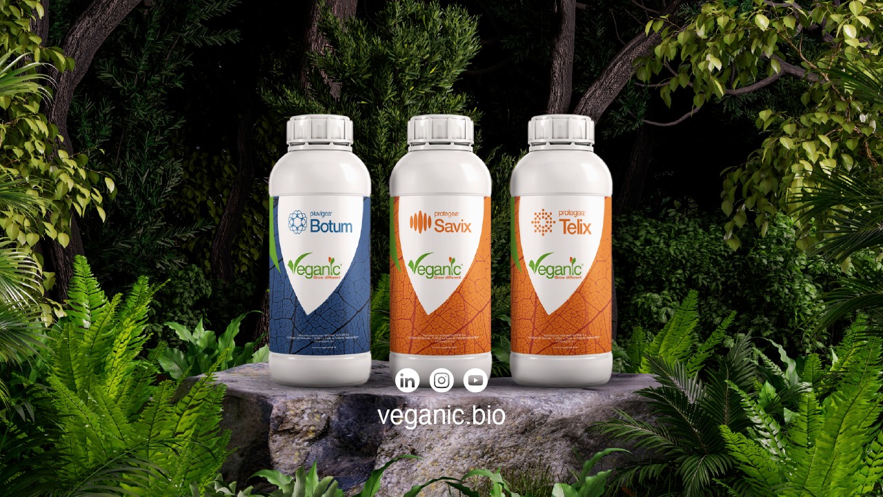 plant-primers-nueva-inteligencia-vegetal-creada-veganic