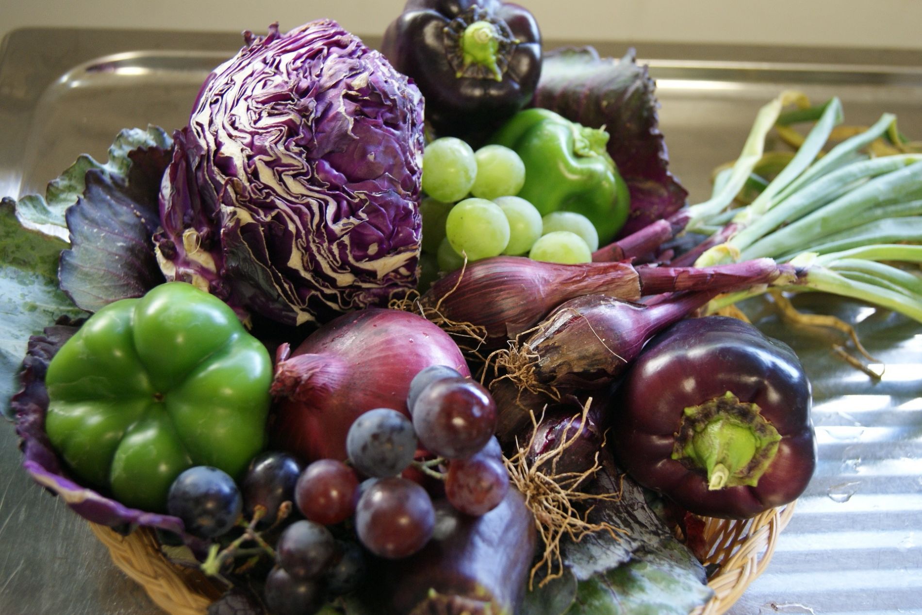 imagen principal noticia