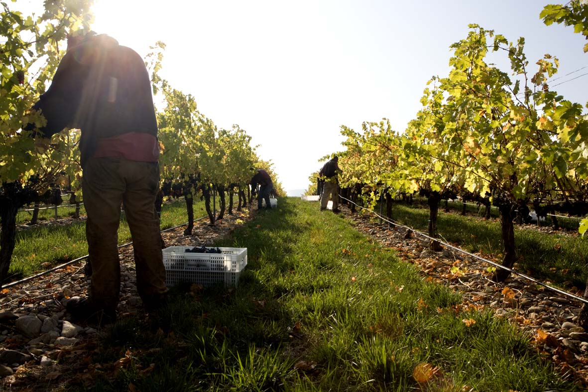 imagen principal noticia