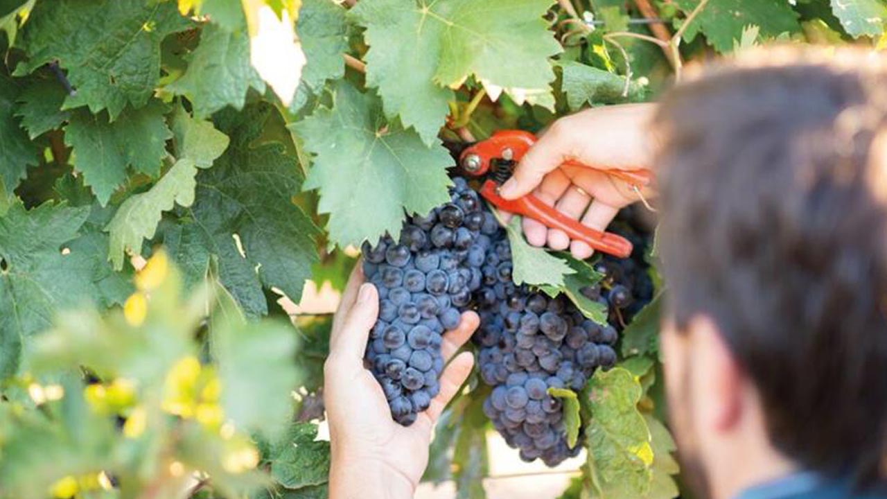 imagen principal noticia