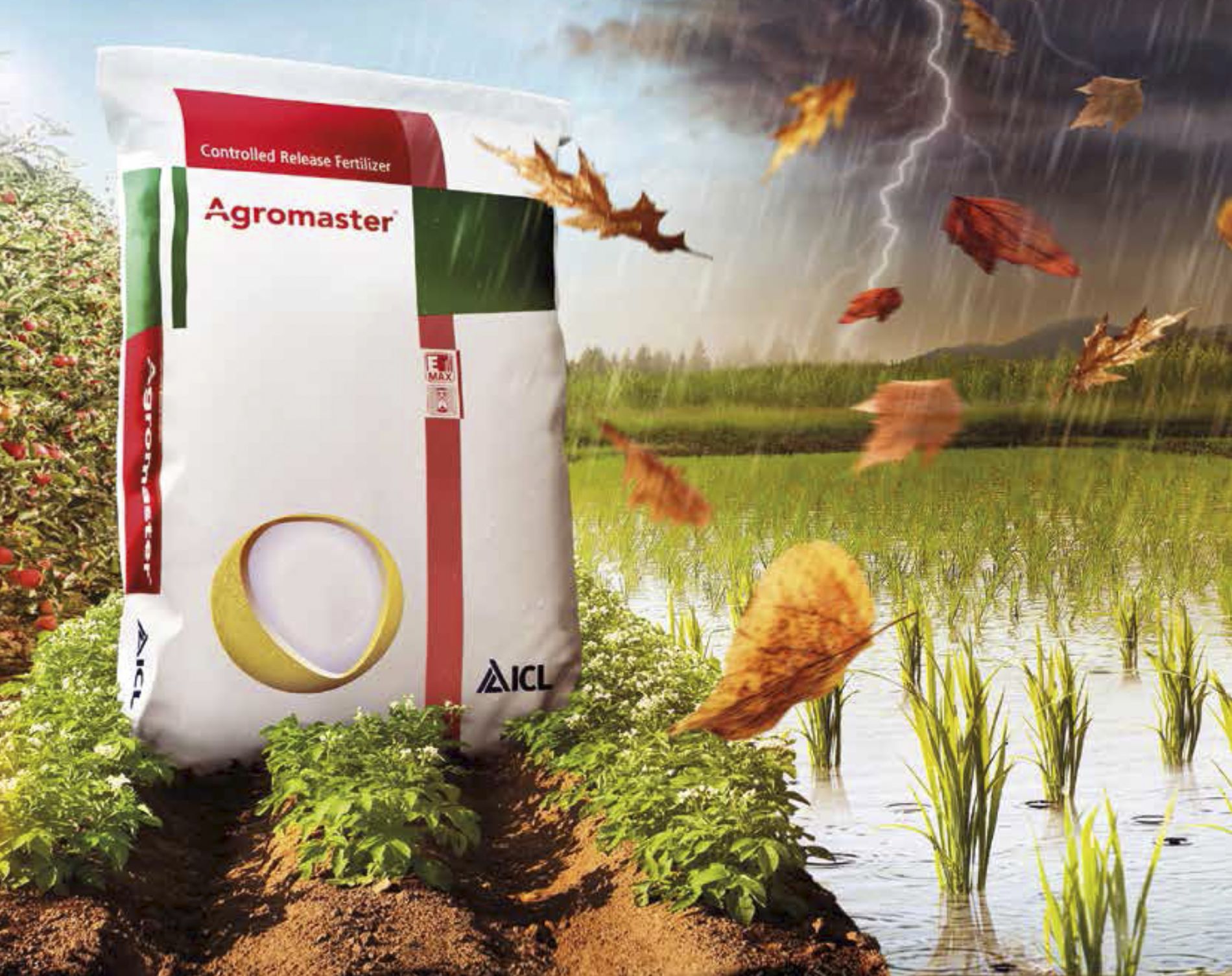 imagen principal noticia