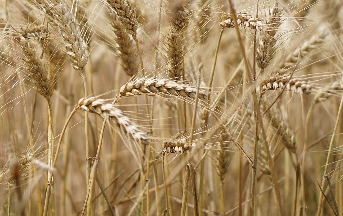 imagen principal noticia